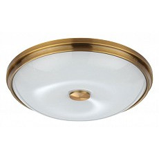 Накладной светильник odeon light pelow 4956-4